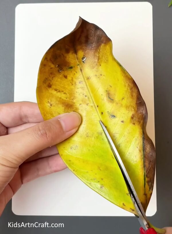 Cutting A Leaf In Half- Create Gorgeous Feathered Friends with this Simple Leaf Project for Children 