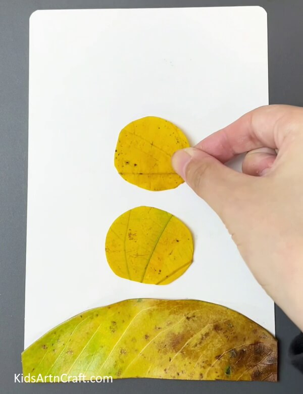 Pasting Other Circle- Produce an Adorable Avian Scene with this Easy Leaf Art for Youngsters 