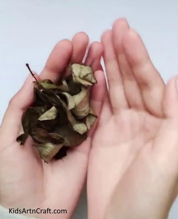 Gather Some Small, Dried Fall Leaves-Learn how to make a Fall Leaf Hedgehog and Bird Craft for Novices