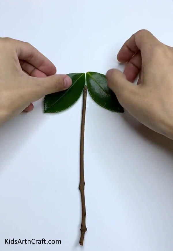 Pasting The Leaves - Learn how to craft your own floral art from fresh foliage