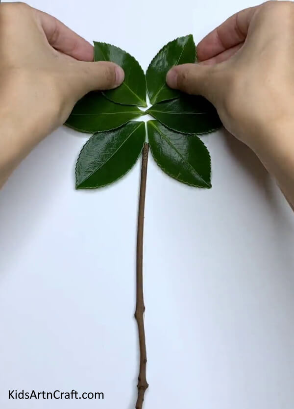 Pasting All The Green Leaves- A step-by-step guide to creating a beautiful flower piece from fresh foliage 