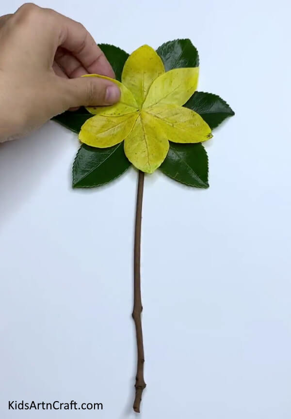 Pasting More Yellow Leaves- How to create a unique flower craft from fresh leaves 
