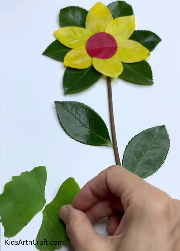 Making The Wings Of The Butterfly- Creating your own flower sculpture with fresh leaves - an easy tutorial