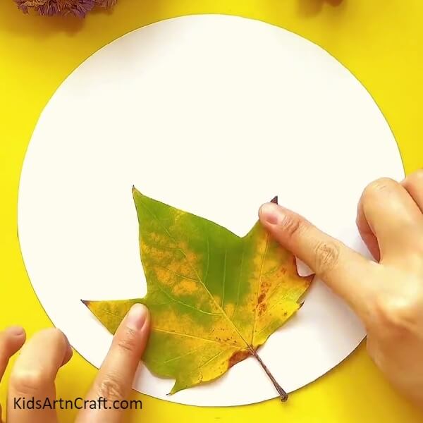 Pasting A Maple Leaf-A Guide for Novices to Make a Ladybug Leaf Craft