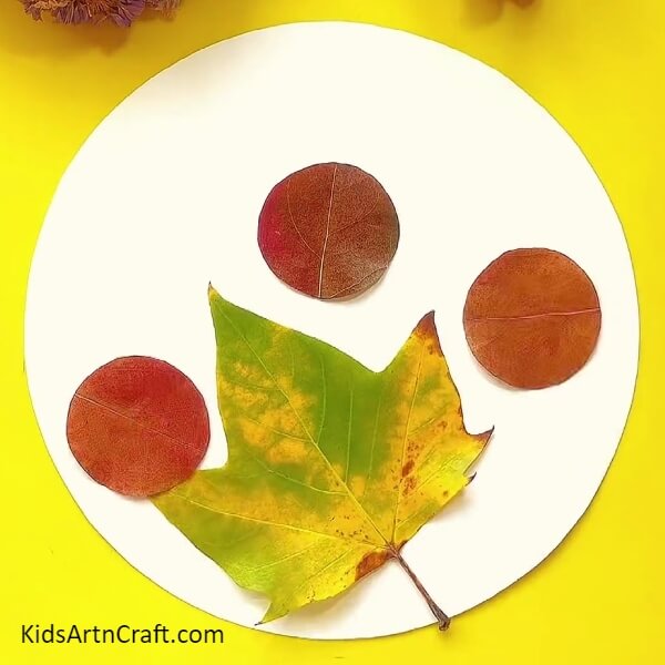 Pasting More Circular Red Leaves-How to Create a Ladybug Leaf Craft for Beginners