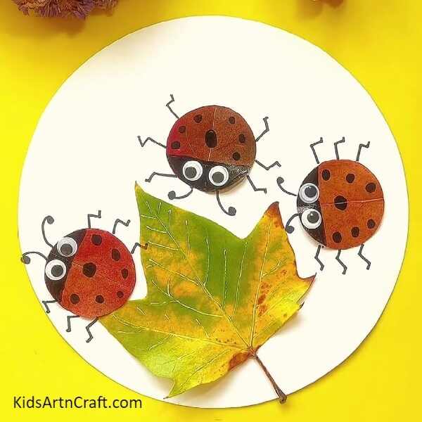 The DIY Ladybug Leaf Craft Is Ready!-A Comprehensive Guide for the Ladybug Leaf Craft for Beginners