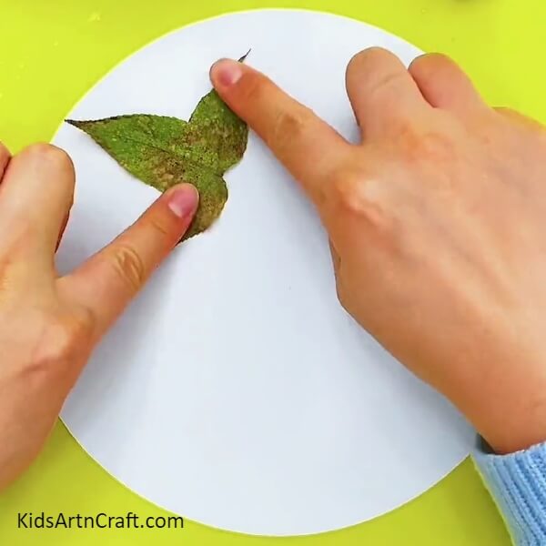 Starting with the sheet of paper- Craft Tutorial For Kids - Making a Fishy Underwater Scene With Leaves 