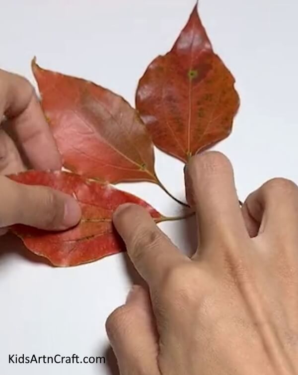 Placing The Fall Leaves On The Paper- An uncomplicated, kid-friendly tutorial for crafting a lion out of autumn foliage