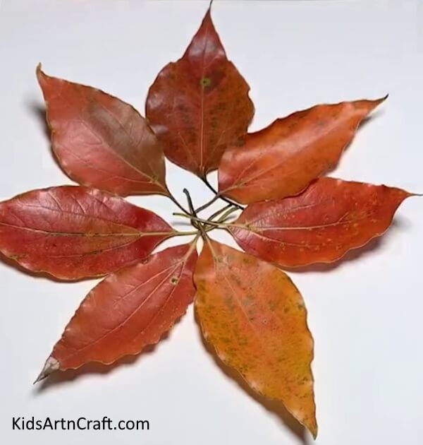 Sticking The Leaves Using Glue- A step-by-step guide to making a lion with fallen leaves