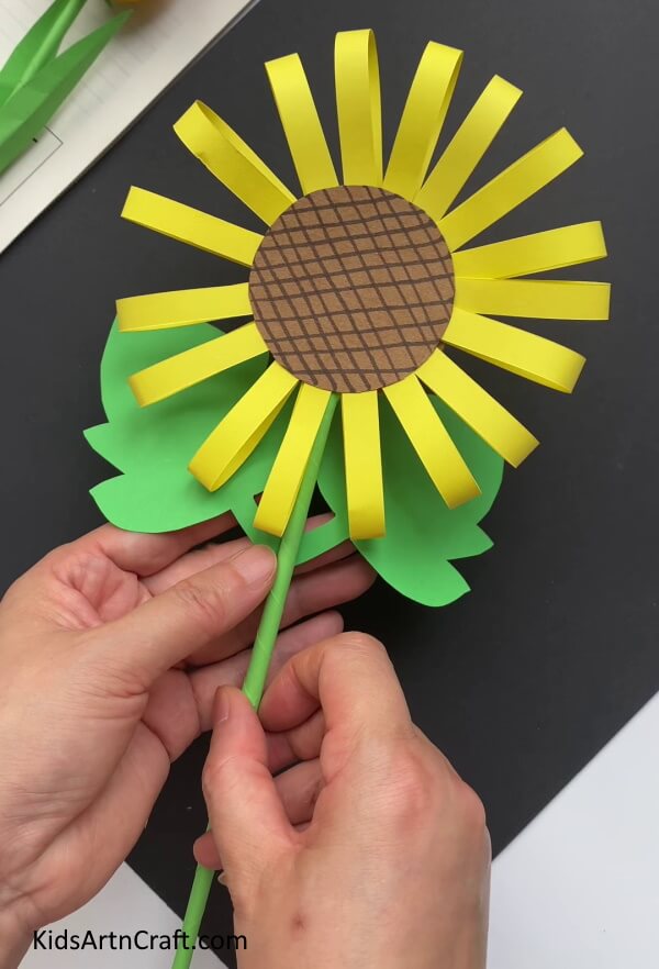 Adding Leaves To The Stem -This sunflower paper craft is an easy venture for kids to take on. 