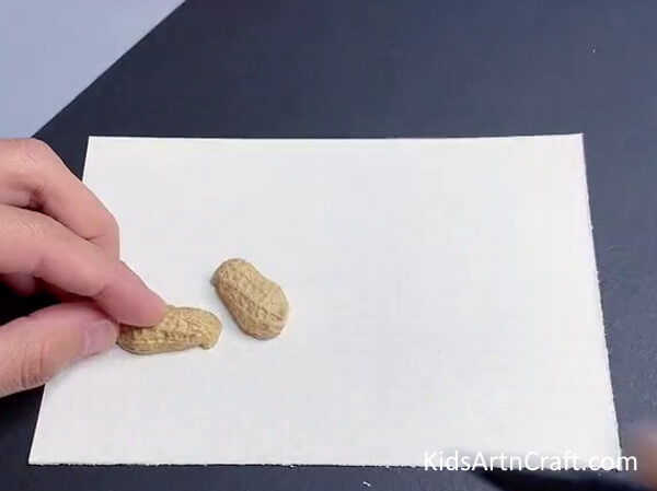 Pasting The Shell Over The Paper - Making a Reindeer craft with peanut shells for kids.