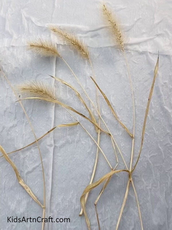 Placing Pampas Grass On Tissue Paper- Making Your Own Stick Lamp Decoration with Pampas Grass
