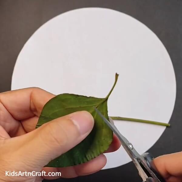 Cutting The Leaves-Kids Can Have Fun Crafting a Bird With Autumn Leaves