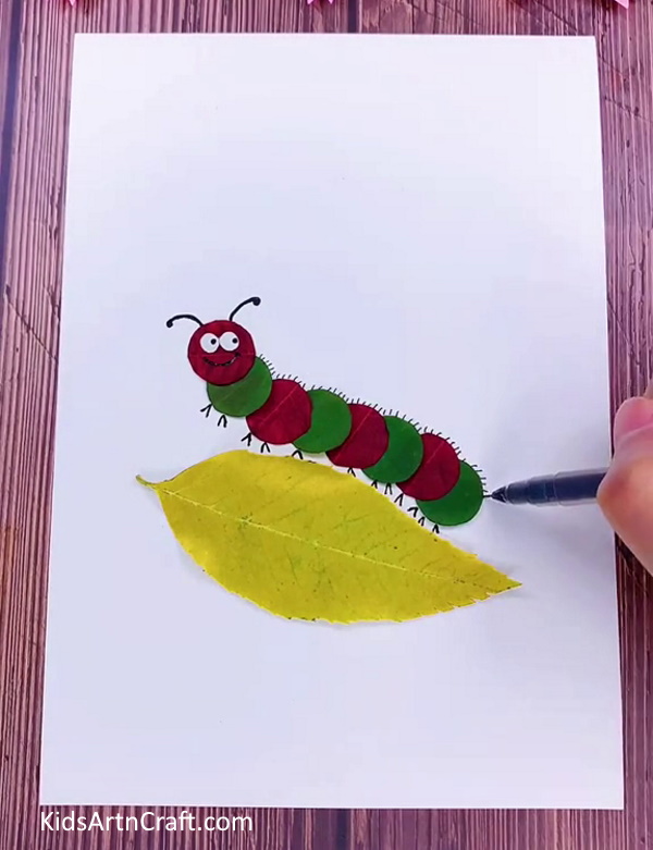Drawing Caterpillar's Hair for look cute for kids
