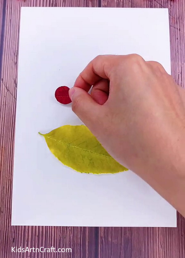 Cutting Circle From Red Leaf to Step by Step Tutorial for kids
