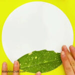 Easy Leaf Insect Craft Tutorial For Kids - Kids Art & Craft