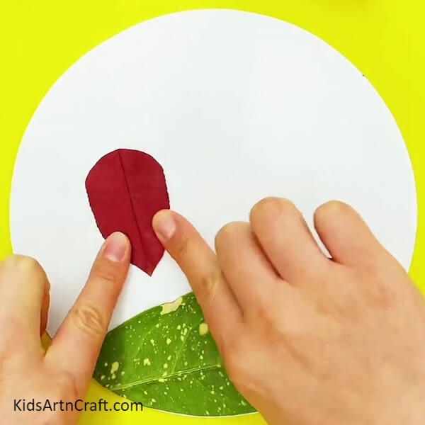 Working On A Red Leaf- A Step-by-Step Guide on How to Create a Leafy Insect for Kids 