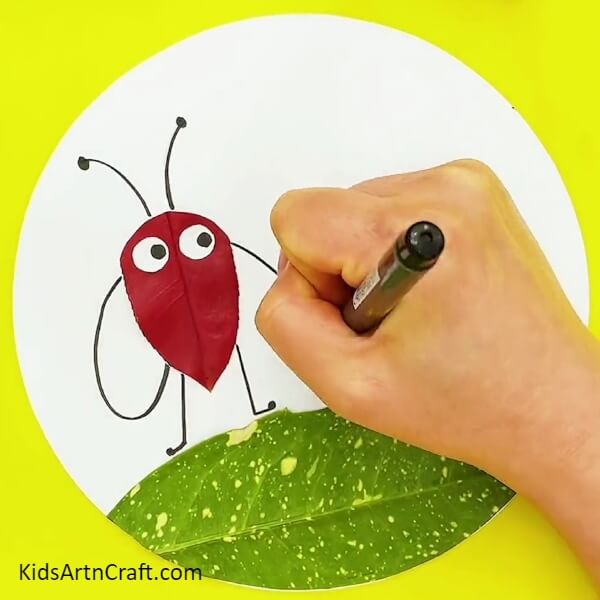 Adding Arms And Legs To The Leaf- How to Build an Insect Using Leaves For Little Ones 
