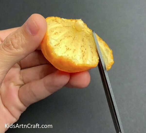 Making A Semi Circle- Constructing a lion from an orange peel is a straightforward activity for kids. 