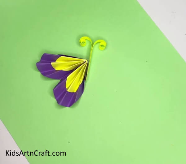 Pasting The Rolled Strips On The Wings- A Simple Tutorial on Constructing a Paper Butterfly for Children