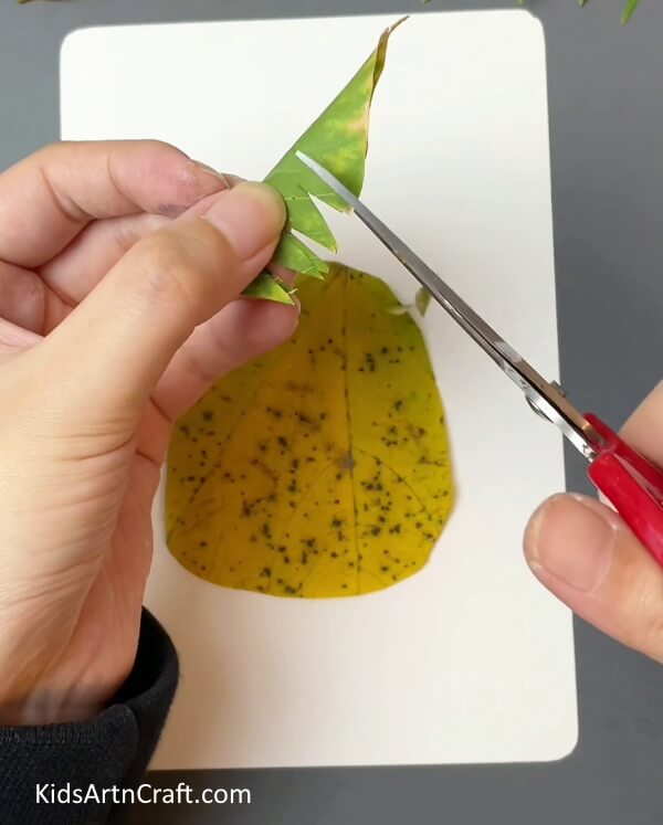 Fold The Green Leaf And Cut It With Scissors- Constructing a basic Pineapple Project with autumn leaves for young people.