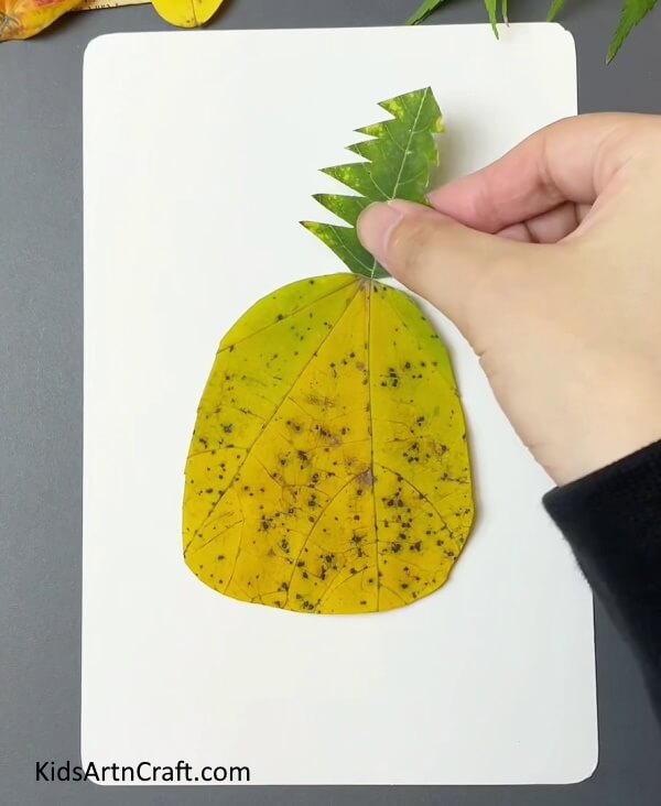 Stick The Green Leaf On White Craft Paper-5. Establishing an uncomplicated Pineapple Creation with autumn foliage for youngsters. 