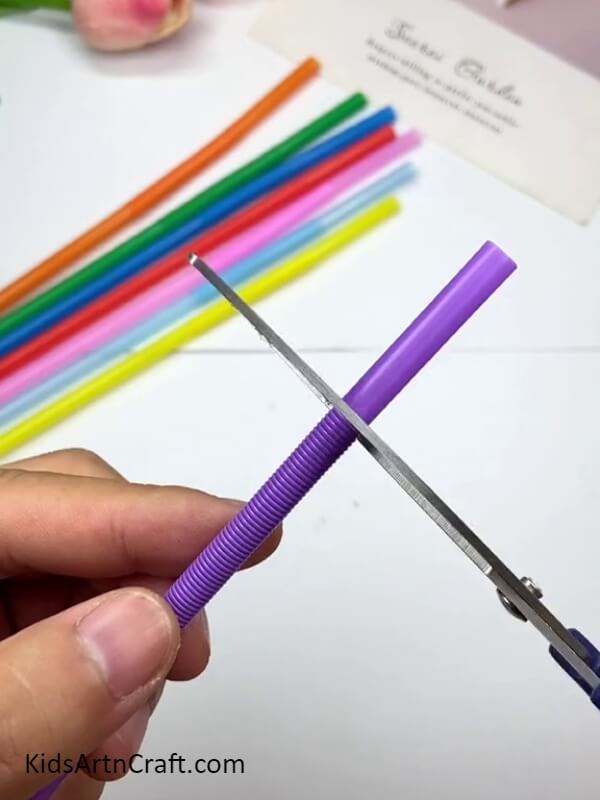 Cutting the Straw Step-by-step Instructions for Making a Straw Bubble Blower with Children