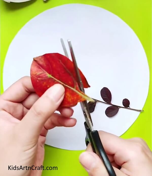 Creating a Bird - An Easy Step-by-Step Guide to Crafting Birds Out of Leaves for Kids