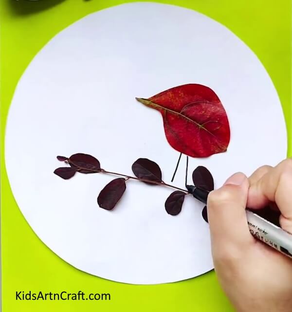 Making a Mother Bird with a Red Leaf - Making Bird Art & Crafts Out of Leaves: An Easy Way To Learn For Kids
