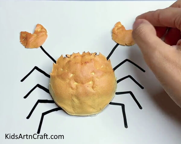 Shape The Claws Of The Crab-How To Put Together A Crab Craft For Little Ones 