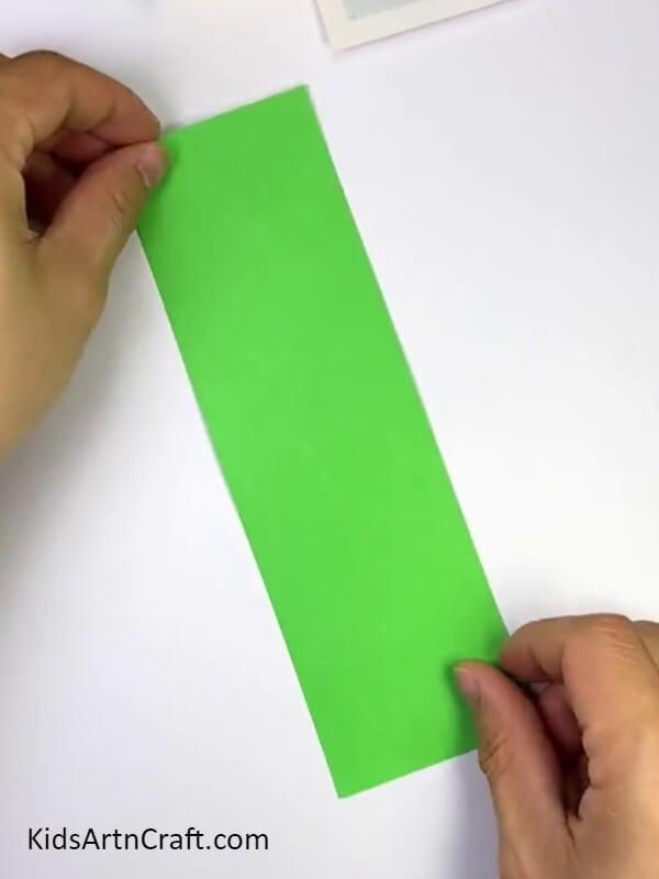 Begin With A Green Strip Craft Paper. Paper Cactus Craft For Beginners