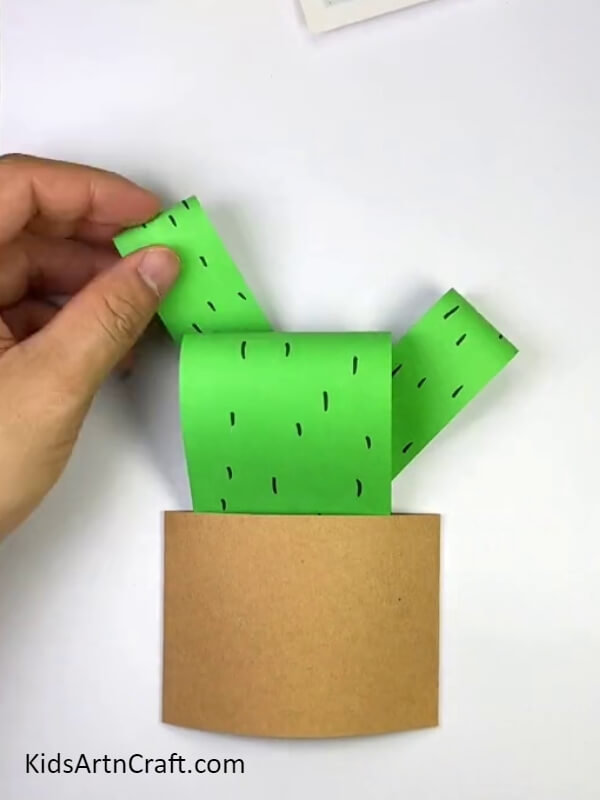 Stick a couple more cactus stem. Complete tutorial of Paper Cactus Craft For Beginners