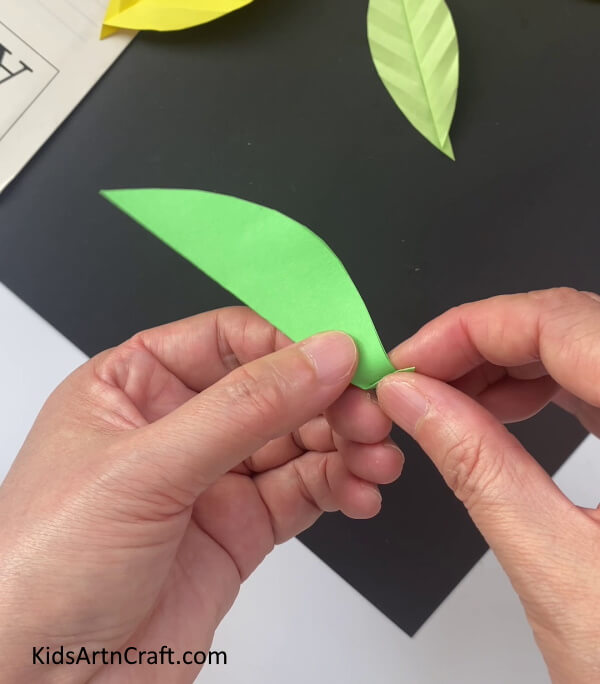 Creasing The Green Leaf To Make Veins An instructional tutorial for youngsters on how to make a paper leaf