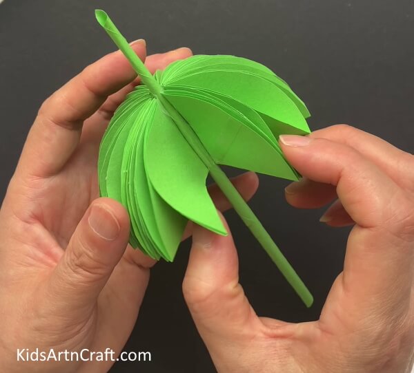 Joining The Ends Of Quarters Together - Creative Activity for Kids - Creating a Paper Frog Umbrella 