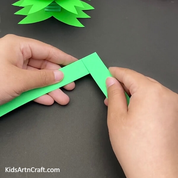 Working of the Sheet of Paper- This paper craft of a jumping frog is sure to bring joy to youngsters. 