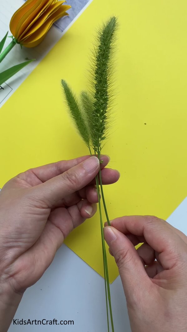 Getting Ready With Foxtails - DIY Green Foxtail Scarecrow Activity For You To Try At Home