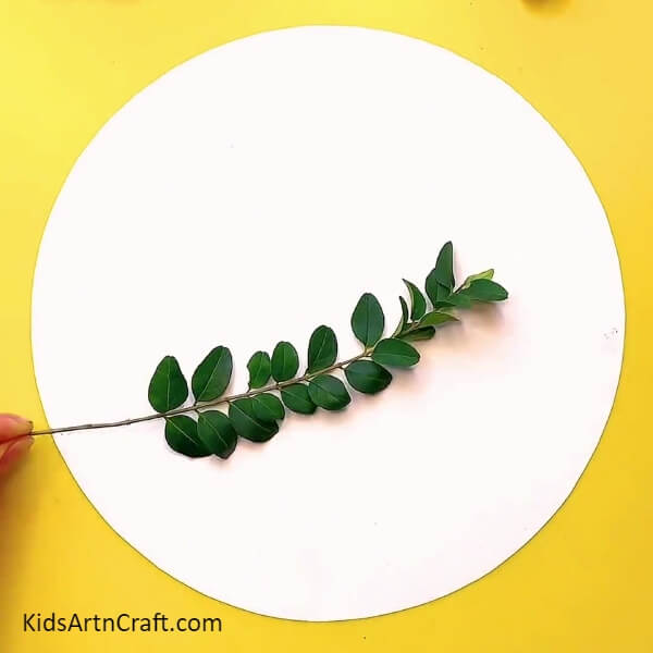 Taking Leaf branch and sticking it- Step-by-step instructions on how to make a Fall Leaves Bird Craft with your own hands.
