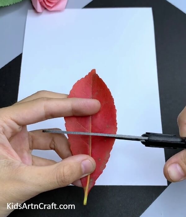 Cutting The Leaf In Half- Crafting a Fox and Bird Design with Handmade Leaves