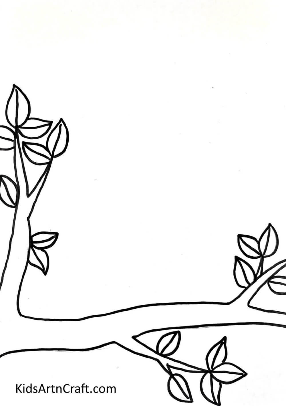 Drawing A Tree Branch Creating a Vibrant Bird Display on a Tree Limb - Simple Sketching