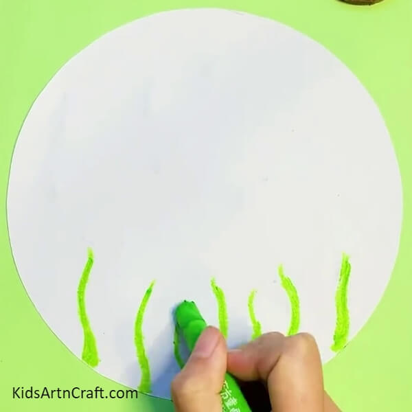 Drawing Green Grasses Using Light Green Crayons On A White Sheet-