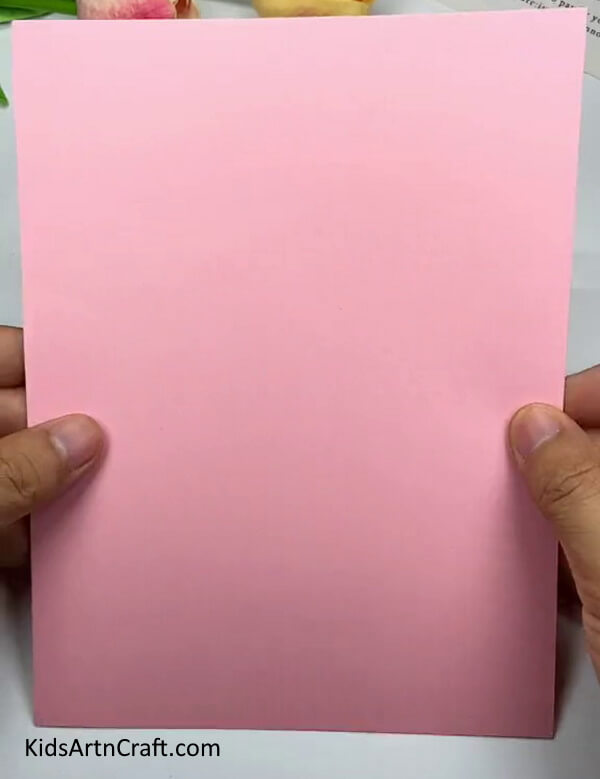Taking A Pink Paper-Designing a cardboard riddle at home
