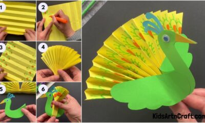 How to Make a Paper Peacock Easy Craft
