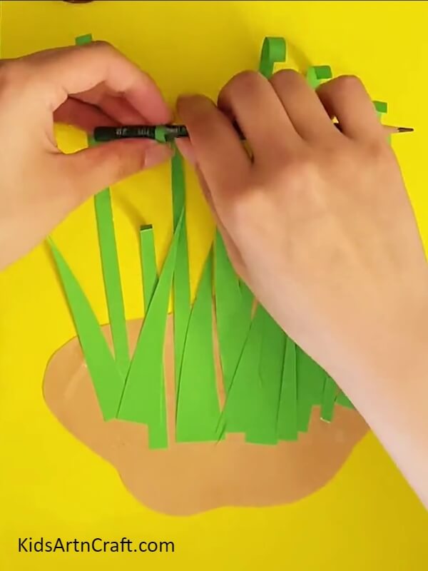 Curling The Green Strips Using A Pencil-Manufacturing a Paper Lily Flower Craft For Youngsters