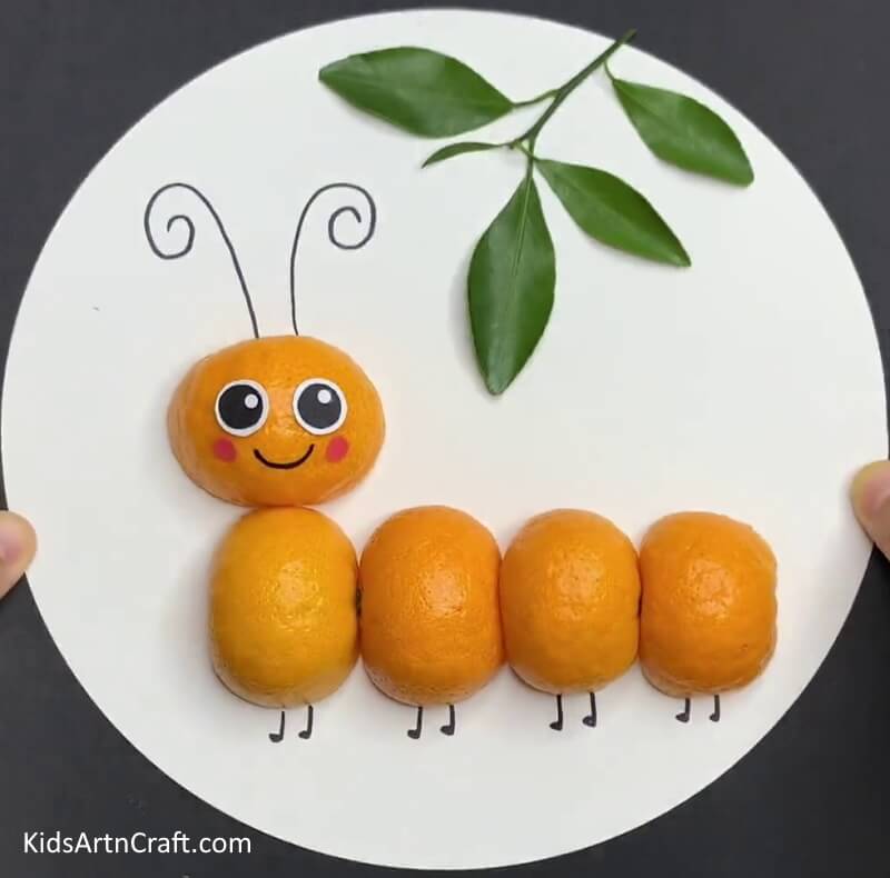 Your Orange Peel Caterpillar Artwork Craft Is Ready! - Making an Alluring Caterpillar Creation with Orange Skins with Kids