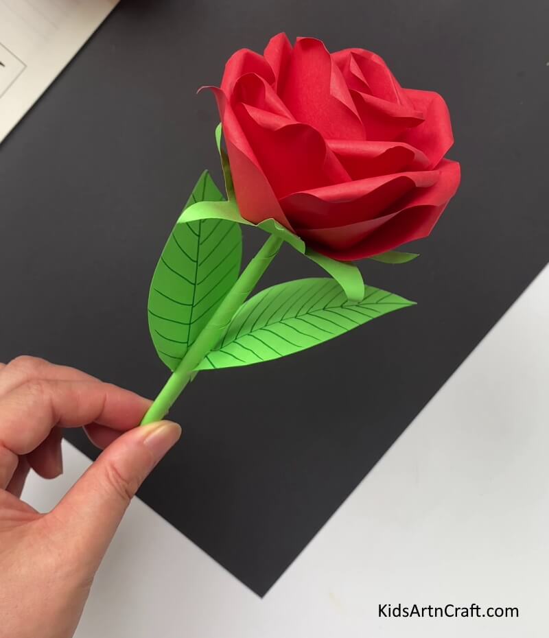 Yay! Our Beautiful Paper Rose Flower Is Ready! Kids can learn how to make a paper rose flower with this guide.