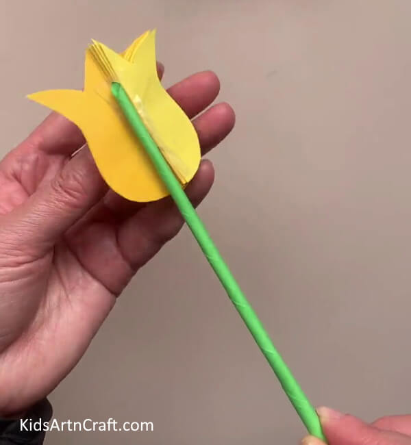 Sticking Tulip Over The Stem - Construct Tulips From Paper With Children
