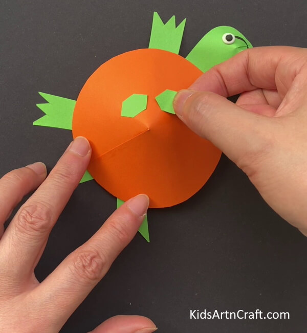 Detailing The Turtle Shell - An Easy Turtle Craft To Make With Kids