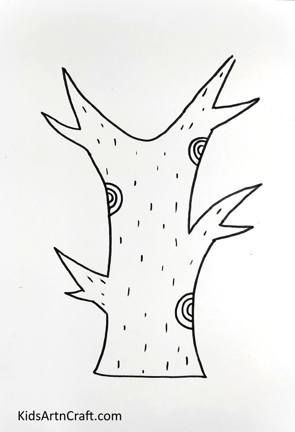 Drawing A Tree Stem - Learn the steps to draw tree quickly