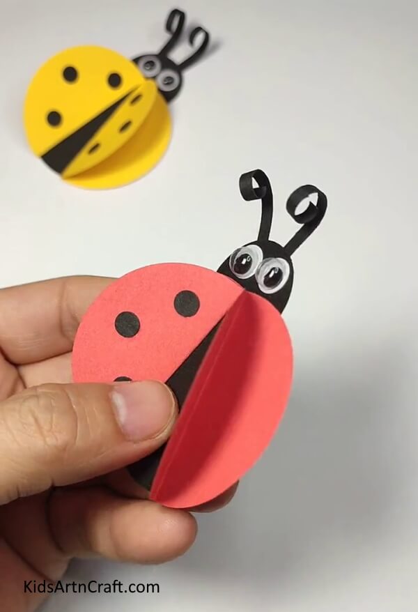 Opening The Wing Covers-A simple tutorial for children to construct a ladybug paper ring. 