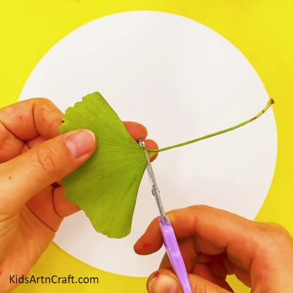Cut the tendril of the leaf with the help of a pair of scissors- Creating a garden with leaves and butterflies as a beginner project